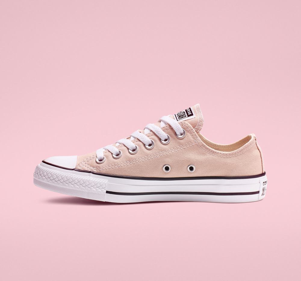 Tenis Converse Chuck Taylor All Star Cano Baixo Mulher Bege 615874JZC